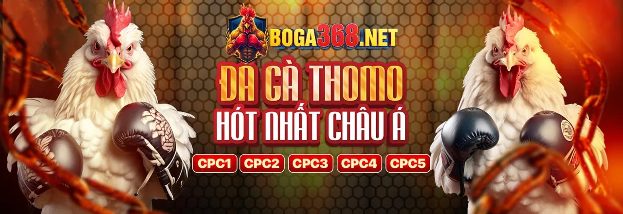 Vòng Quay Miễn Phí